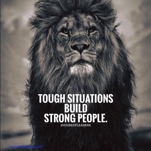 Meet your Posher, Jr. - Picture 2 of 4